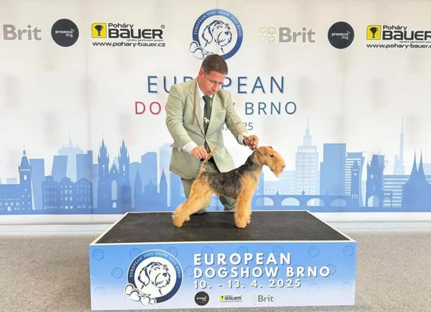 European Dog Show Brno 2025