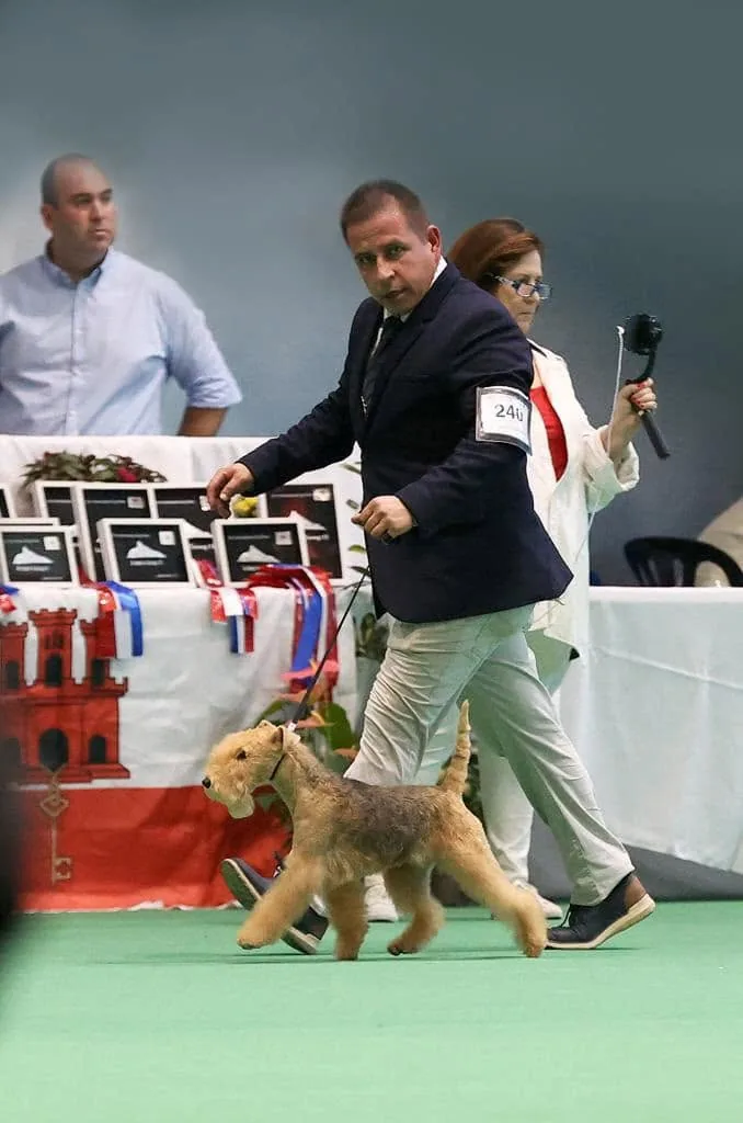 Of Lakilands at a dog show