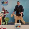 Ares, Junior European Champion 2016