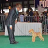 Ares as a puppy