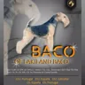 Baco