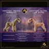 Goldie and Ares · Of Lakilands pedigree