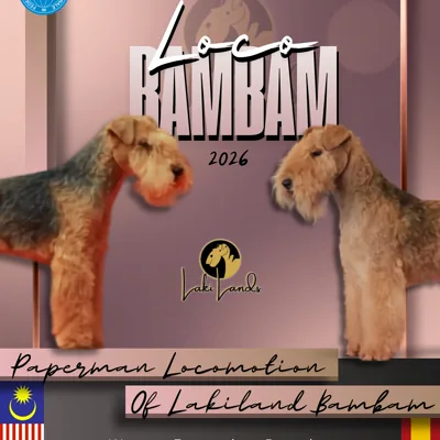 Of Lakilands en Instagram